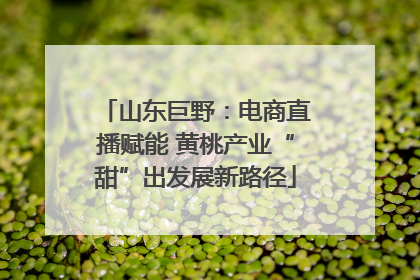山东巨野：电商直播赋能 黄桃产业“甜”出发展新路径