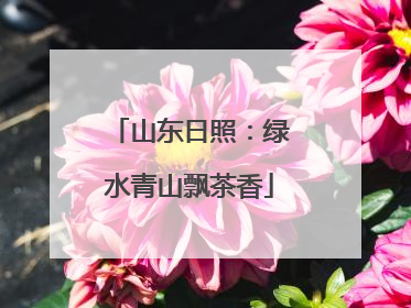 山东日照：绿水青山飘茶香