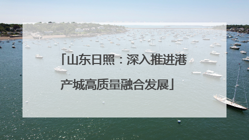 山东日照：深入推进港产城高质量融合发展