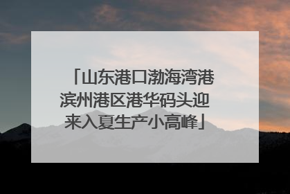 山东港口渤海湾港滨州港区港华码头迎来入夏生产小高峰