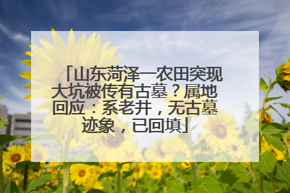 山东菏泽一农田突现大坑被传有古墓？属地回应：系老井，无古墓迹象，已回填