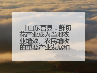 山东莒县：鲜切花产业成为当地农业增效、农民增收的重要产业发展和特色品牌