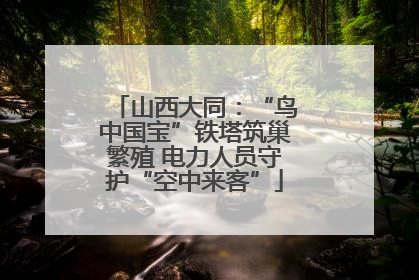 山西大同：“鸟中国宝”铁塔筑巢繁殖 电力人员守护“空中来客”