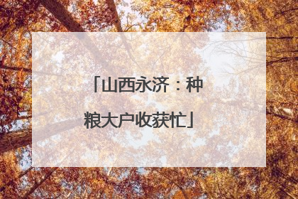 山西永济：种粮大户收获忙