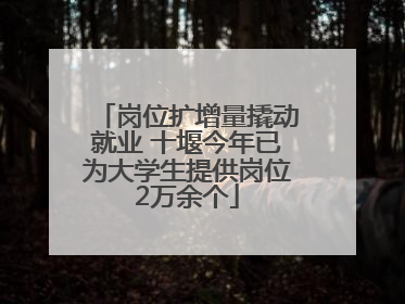 岗位扩增量撬动就业 十堰今年已为大学生提供岗位2万余个