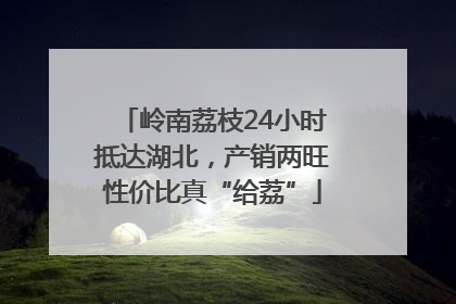 岭南荔枝24小时抵达湖北，产销两旺性价比真“给荔”