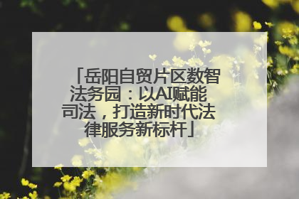 岳阳自贸片区数智法务园:以AI赋能司法,打造新时代法律服务新标杆