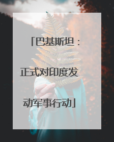 巴基斯坦：正式对印度发动军事行动