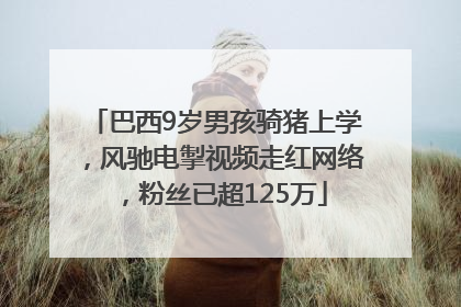 巴西9岁男孩骑猪上学，风驰电掣视频走红网络，粉丝已超125万