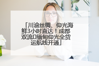 川渝丝绸、仰光海鲜3小时直达！成都双流⇌缅甸仰光全货运航线开通