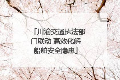 川渝交通执法部门联动 高效化解船舶安全隐患