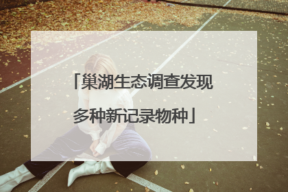 巢湖生态调查发现多种新记录物种