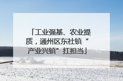 工业强基、农业提质，通州区东社镇“产业兴镇”扛担当