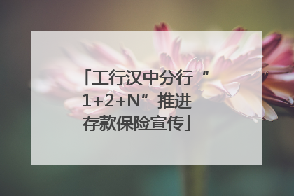 工行汉中分行“1+2+N”推进存款保险宣传