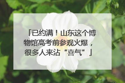 已约满！山东这个博物馆高考前参观火爆，很多人来沾“喜气”