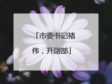市委书记褚伟，升副部