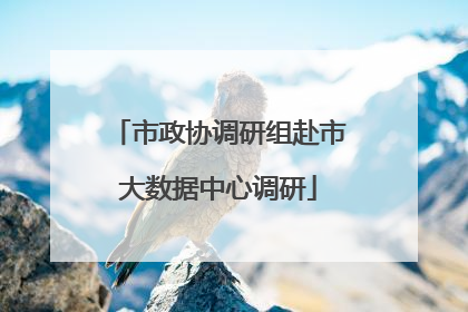 市政协调研组赴市大数据中心调研