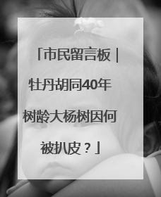 市民留言板｜牡丹胡同40年树龄大杨树因何被扒皮？