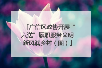 广信区政协开展“六送”履职服务文明新风润乡村（图）