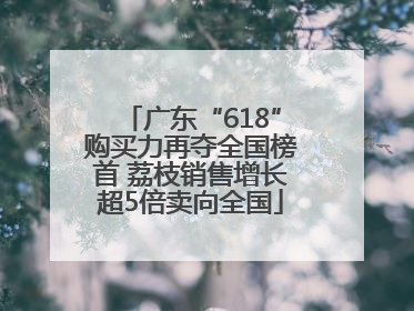 广东“618”购买力再夺全国榜首 荔枝销售增长超5倍卖向全国