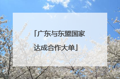 广东与东盟国家达成合作大单