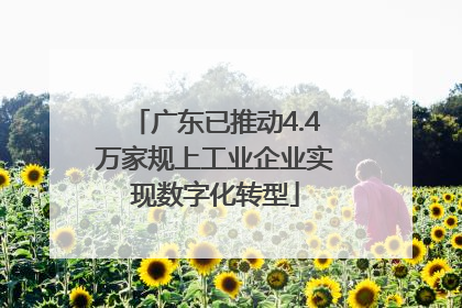 广东已推动4.4万家规上工业企业实现数字化转型