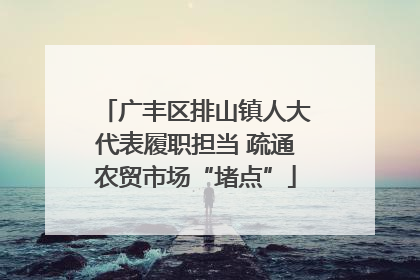 广丰区排山镇人大代表履职担当 疏通农贸市场“堵点”