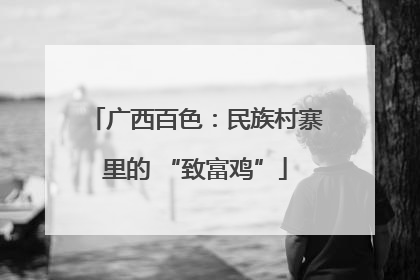 广西百色：民族村寨里的 “致富鸡”