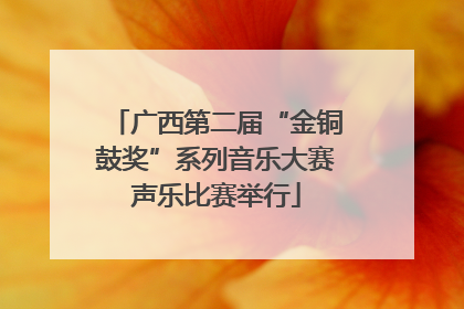 广西第二届“金铜鼓奖”系列音乐大赛声乐比赛举行