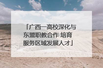 广西一高校深化与东盟职教合作 培育服务区域发展人才