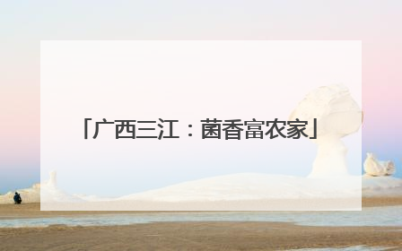 广西三江：菌香富农家