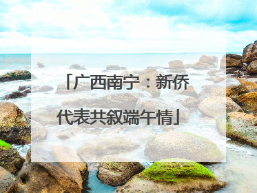 广西南宁：新侨代表共叙端午情