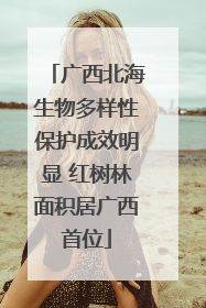广西北海生物多样性保护成效明显 红树林面积居广西首位