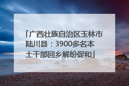 广西壮族自治区玉林市陆川县：3900多名本土干部回乡解纷促和