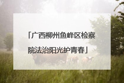 广西柳州鱼峰区检察院法治阳光护青春