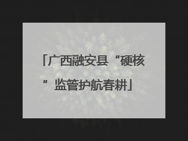 广西融安县“硬核”监管护航春耕
