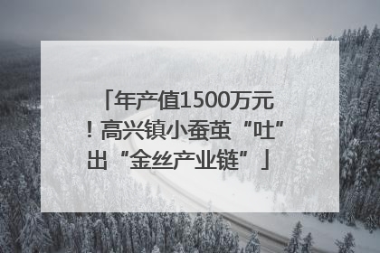 年产值1500万元！高兴镇小蚕茧“吐”出“金丝产业链”