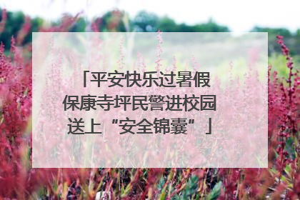 平安快乐过暑假 保康寺坪民警进校园送上“安全锦囊”
