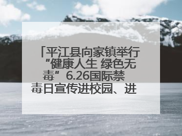 平江县向家镇举行“健康人生 绿色无毒”6.26国际禁毒日宣传进校园、进社区活动