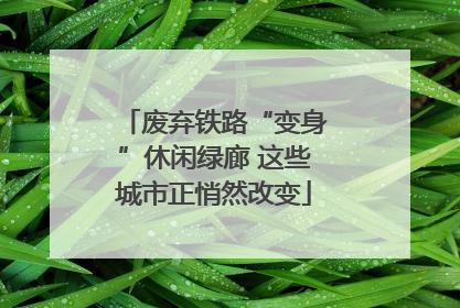 废弃铁路“变身”休闲绿廊 这些城市正悄然改变