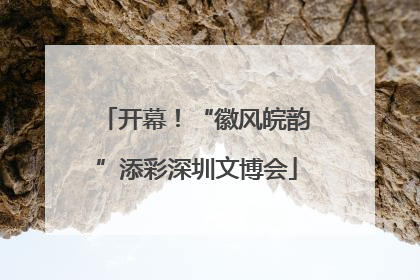 开幕！“徽风皖韵”添彩深圳文博会