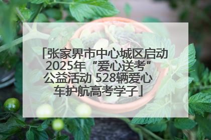 张家界市中心城区启动2025年“爱心送考”公益活动 528辆爱心车护航高考学子