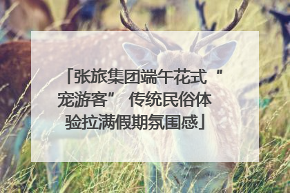 张旅集团端午花式“宠游客” 传统民俗体验拉满假期氛围感