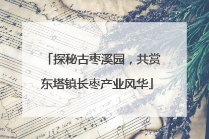 探秘古枣溪园，共赏东塔镇长枣产业风华