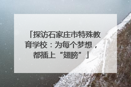 探访石家庄市特殊教育学校：为每个梦想，都插上“翅膀”