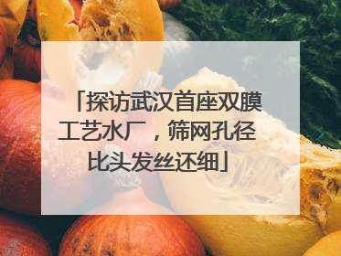 探访武汉首座双膜工艺水厂，筛网孔径比头发丝还细