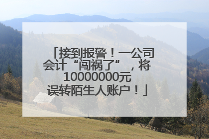 接到报警！一公司会计“闯祸了”，将10000000元误转陌生人账户！