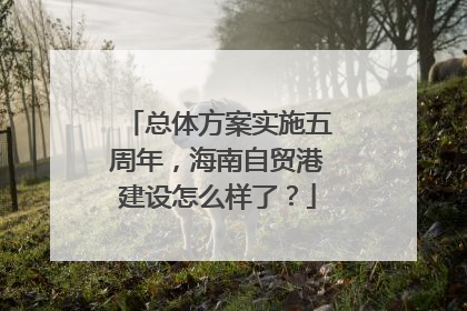 总体方案实施五周年，海南自贸港建设怎么样了？