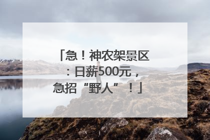 急！神农架景区：日薪500元，急招“野人”！