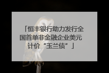 恒丰银行助力发行全国首单非金融企业美元计价“玉兰债”